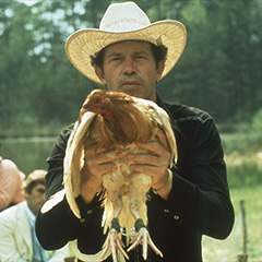 ドニー・フリッツやオールマン・ブラザーズ・バンドの若き姿が見切れる！？