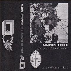 Marshstepper