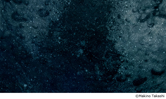 13名の弦楽アンサンブルと映像による衝撃の世界！