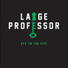 LARGE PROFESSOR
