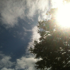 都知事選直前に「東京都」のことを考えた 