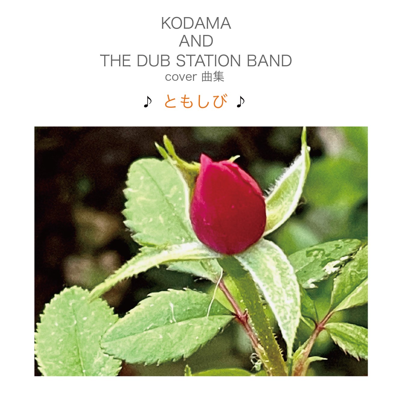 KODAMA AND THE DUB STATION BAND