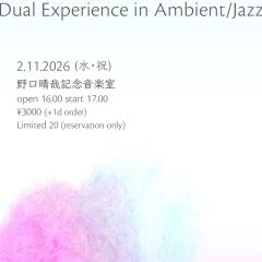 Dual Experience in Ambient / Jazz 