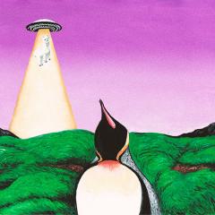 interview with South Penguin 