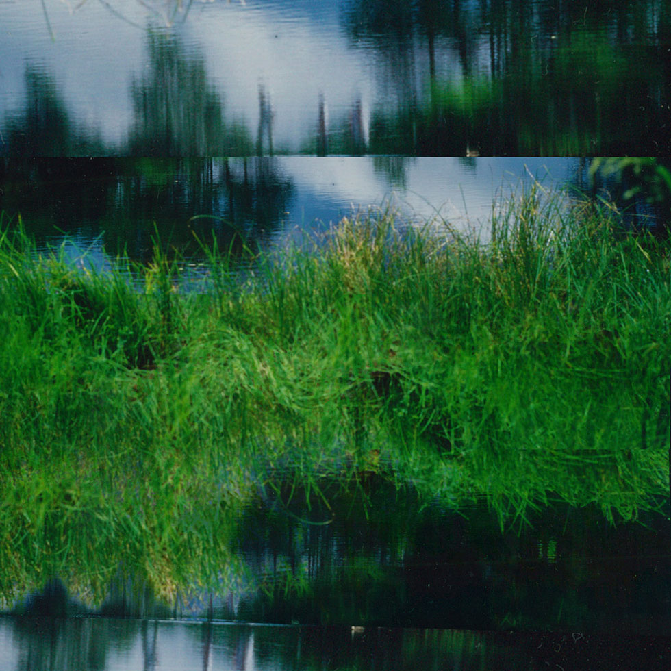 Oyubi